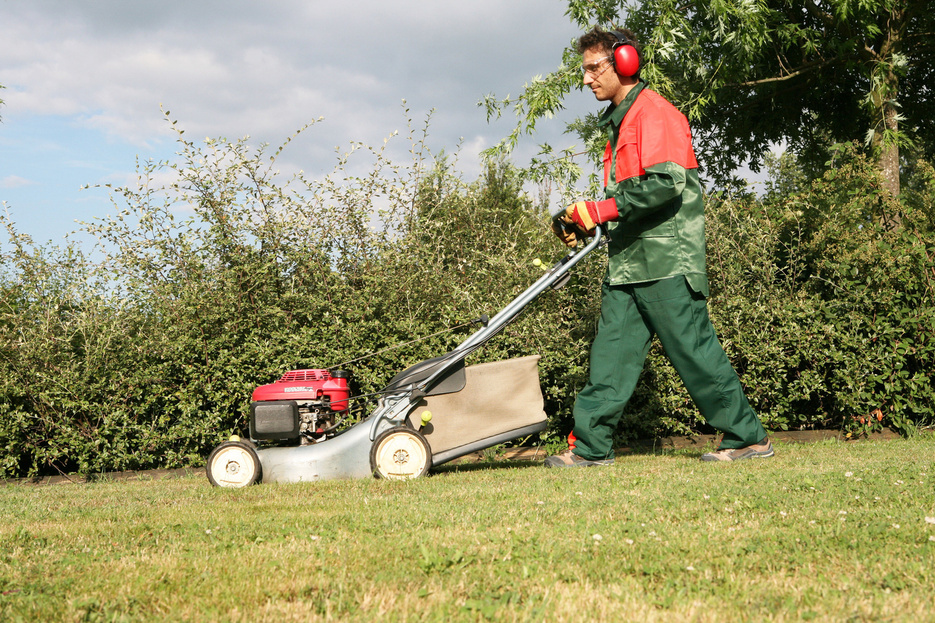 <center><img src=/admin/files/251/trait-studio.png></center> <center><img src=/admin/files/251/trait-studio.png></center>